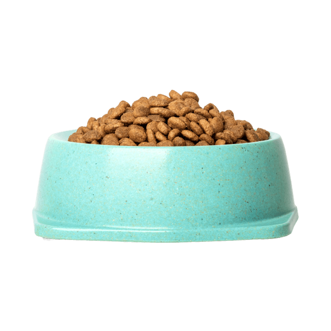 Shop Secondary Image Shop Secondary Image