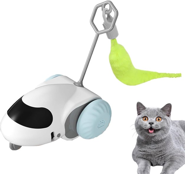 Shop Secondary Image