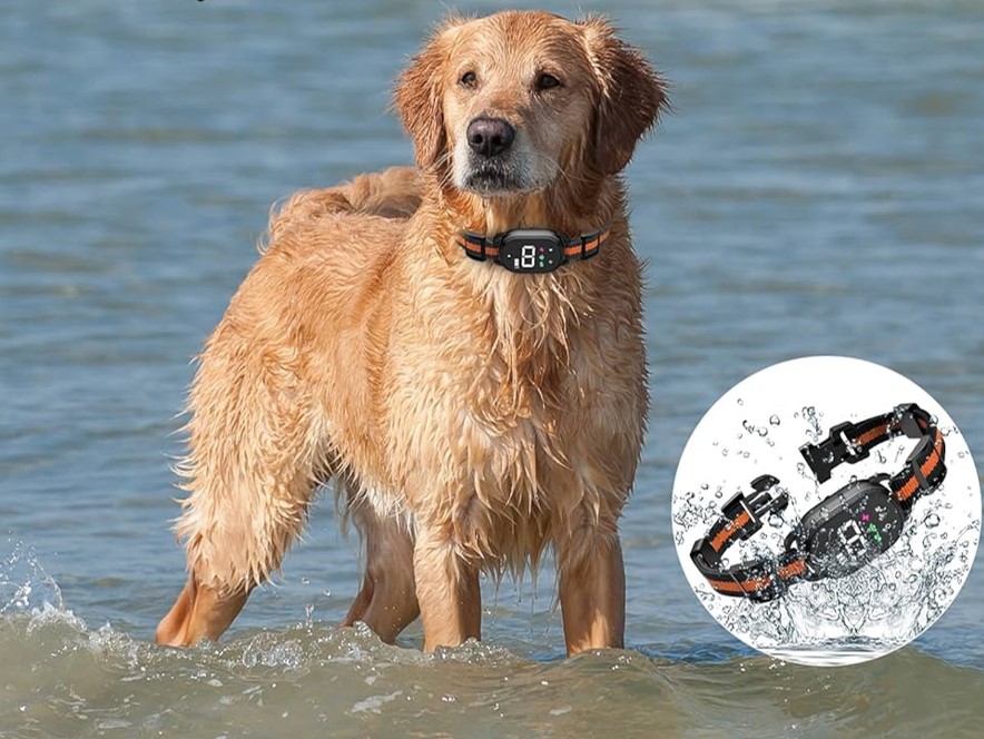 Shop Secondary Image