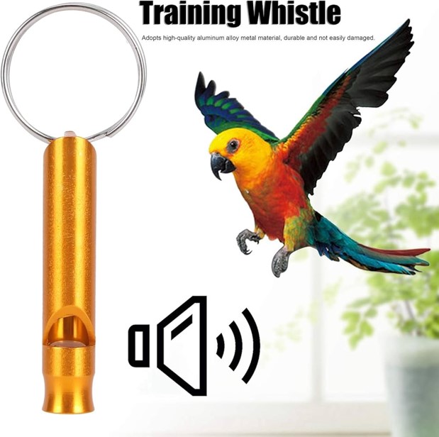 Shop Primary Image Shop Primary Image