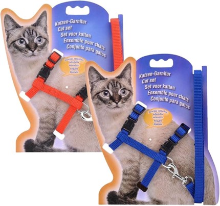 Shop Primary Image Shop Primary Image