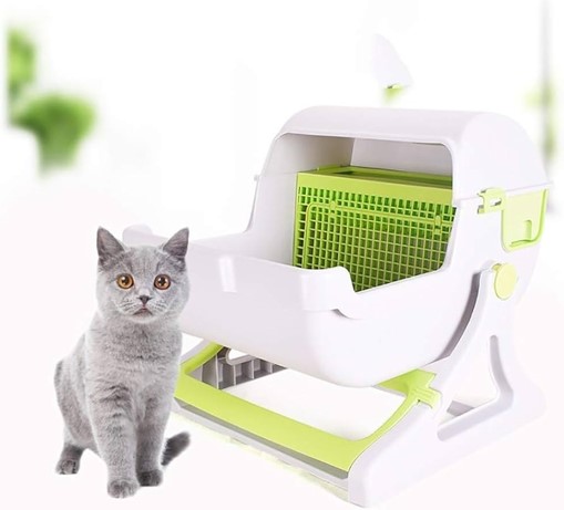 Shop Secondary Image