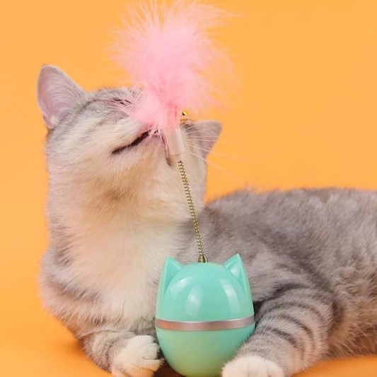 Shop Secondary Image