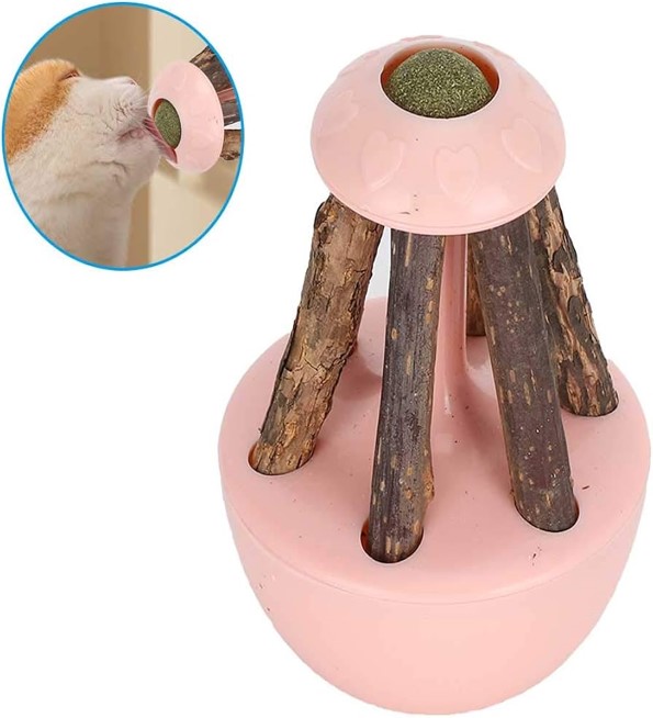 Shop Secondary Image