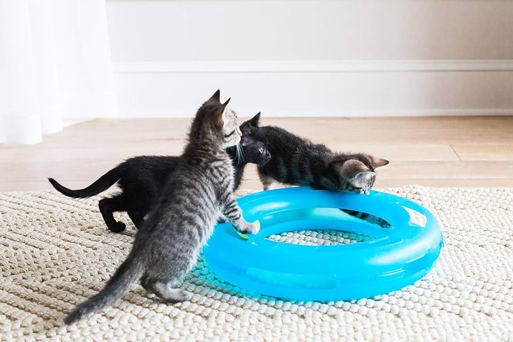 Shop Secondary Image