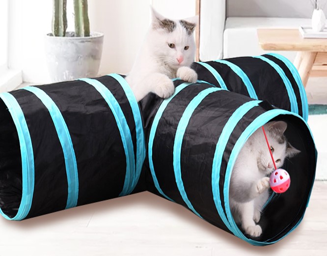 Shop Secondary Image