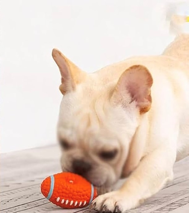 Shop Secondary Image